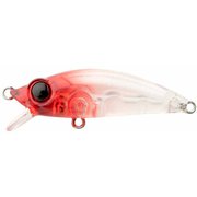 13-NUT 40F 05 クリアレッドヘッド