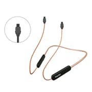 ネックバンド式Bluetoothケーブル TE40-X audio-technica IMシリーズ