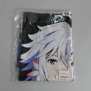 Fate/Grand Order -絶対魔獣戦線バビロニア- ビッグタペストリー [キャラクターグッズ]