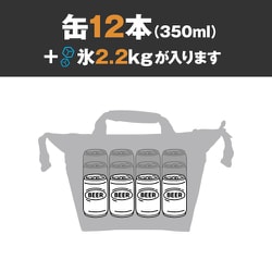 AOクーラーズ　12 ソフトクーラーバッグ　サンド　AO12TA 楽天市場】☆AO COOLER エーオークーラー12 パック キャンバス