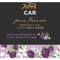 ヨドバシ Com P G ピーアンドジー ファブリーズ ファブリーズ 消臭芳香剤 車用 イージークリップ プール ファム チュベローズ ブラックベリーの香り 2 2ml 通販 全品無料配達