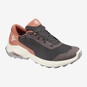 X REVEAL GTX W L40971600 Shale /Cedar Wood /Alloy 24cm [ハイキングシューズ レディース]