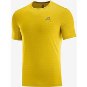 エックスエー ティー XA TEE M LC1277100 LEMON CURRY/HEATHER S [アウトドア カットソー メンズ]