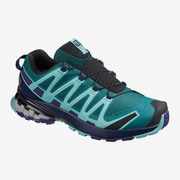 XA PRO 3D V8 GTX W L40990300 Shaded Spruce / Evening Blue / Meadowbrook 23cm [ハイキングシューズ レディース]