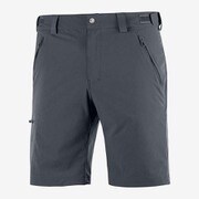 WAYFARER SHORT M LC1300300 EBONY 52/R [アウトドア ショートパンツ メンズ]