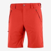 WAYFARER SHORT M LC1300400 VALIANT POPPY 46/R [アウトドア ショートパンツ メンズ]