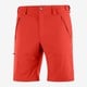 WAYFARER SHORT M LC1300400 VALIANT POPPY 52/R [アウトドア ショートパンツ メンズ]