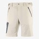 WAYFARER SHORT M LC1300500 RAINY DAY 46/R [アウトドア ショートパンツ メンズ]