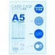 カードケース 硬質 A5 1P CHA-501