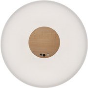 LEDシーリングライト 12畳用 TSCL-120K