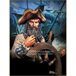 ヨドバシ.com - ヤングミニチュア YH1859 舵を取る海賊黒髭 1718年 [1