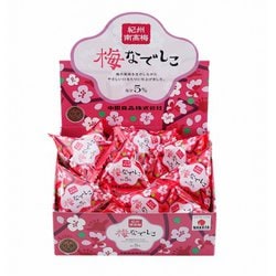 紀州南高梅 梅なでしこ 個包装 15粒（180g）