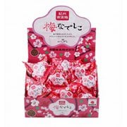 紀州南高梅 梅なでしこ 個包装 15粒(180g)