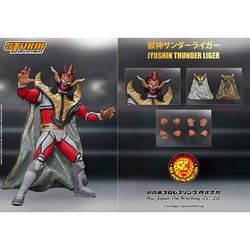 獣神サンダーライガー 新日本プロレス アクションフィギュア(NJLG01) ストームコレクティブルズ 新日本プロレス アクションフィギュア 獣神サンダー・ライガー