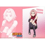 NARUTO 描き下ろし A4クリアファイル サクラ [キャラクターグッズ]