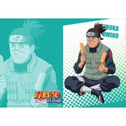 NARUTO 描き下ろし A4クリアファイル イルカ [キャラクターグッズ]