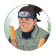 NARUTO 描き下ろし 缶バッジ イルカ [キャラクターグッズ]