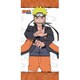 NARUTO ミニタペストリーナルト2 [キャラクターグッズ]
