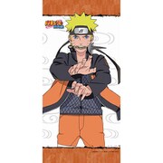 NARUTO ミニタペストリーナルト2 [キャラクターグッズ]