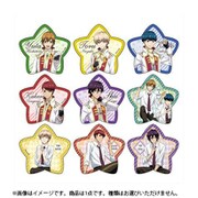 スタミュ レザーバッジコレクション 1個 [コレクショントイ]