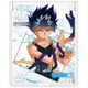 幽☆遊☆白書 PALE TONE series ミラー 飛影 vol.3 [キャラクターグッズ]