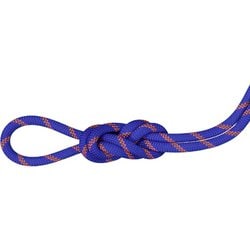 9.0 アルパイン センダー ドライ ロープ 9.0 Alpine Sender Dry Rope 9.0mm 2010-04200 11236 Dry Standard,ice-sunrise 50m [ロープ]