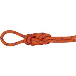 9.0 アルパイン センダー ドライ ロープ 9.0 Alpine Sender Dry Rope 9.0mm 2010-04200 11237 Dry Standard,sunrise-ice 50m [ロープ]