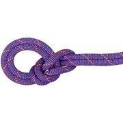 9.0 Crag Sender Dry Rope 2010-04210 11236_Dry Standard ice-sunrise 100 m [ロープ]