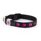 kns1001 [NIGHT SCOUT LED Dog Collar Pink]