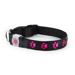 kns1001 [NIGHT SCOUT LED Dog Collar Pink]