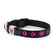 kns1001 [NIGHT SCOUT LED Dog Collar Pink]