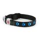 kns1002 [NIGHT SCOUT LED Dog Collar Blue]