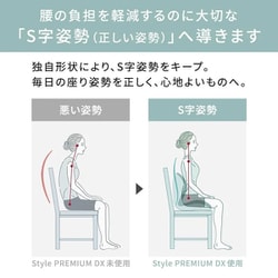 スタイルプレミアム ヨドバシ.com - Style スタイル Style PREMIUM DX（スタイル