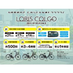 ヨドバシ.com - 大日産業 ダイニチサンギョウ 電動アシスト自転車 電動ロリス 26型 6段 ブラック NETO266WHDR 通販【全品無料配達】