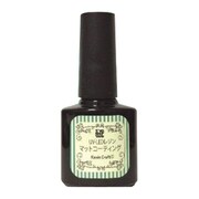 No.9702 コーティング用レジン つやタイプ 15mL