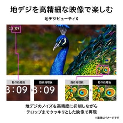 ヨドバシ.com - 東芝 TOSHIBA 43M540X [REGZA(レグザ) M540Xシリーズ