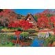 25-193s 日本の風景 秋色に染まる白川郷-岐阜 [ジグソーパズル めざせ！パズルの達人 300ピース（完成サイズ：26×38cm）]