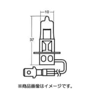 No.104 [BP14-0105 12V55W ブリスター電球]