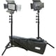 LEDライト VL-7200CX/SET2 L26902