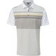 PING 20SS スペンサー シルバー マルチ XL