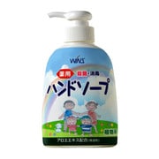 ウインズ(WINS) 薬用ハンドソープ 250ml [医薬部外品]