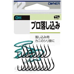 プロ落し込み 5