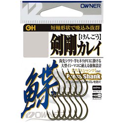 剣剛カレイ 13