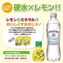 ヨドバシ Com ポッカサッポロフード ビバレッジ Gerolsteiner ゲロルシュタイナー ペットボトル 500ml 24本 通販 全品無料配達