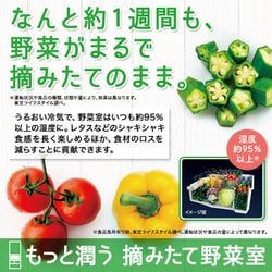 ヨドバシ.com - 東芝 TOSHIBA GR-S460FZ（ZC） [冷蔵庫 （461L