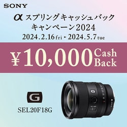 ヨドバシ.com - ソニー SONY SEL20F18G FE 20mm F1.8 G [単焦点レンズ