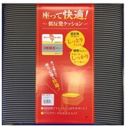 RBT94741 [ロイヤルボーダー低反発三層クッション グレー]
