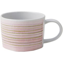 Craft Studio スープカップ ボーダーPK/GR