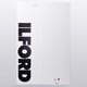 ILFORD GALERIE Tesuki-Washi EchiZen Warmtone （90gsm） Deckle Edge イルフォード 手漉き和紙 越前ウォームトーン A1+D 5枚 433348