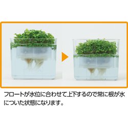 ヨドバシ Com アーテック 水耕栽培ユニット ベビーリーフミックス 理科教材 備品 通販 全品無料配達 ヨドバシ Com アーテック 水耕栽培ユニット ベビーリーフミックス 理科教材 備品 通販 全品無料配達
